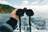 Best Binoculars For Whale Watching